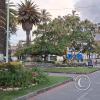 Parque Simon Bolivar (11)