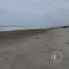 IMG_20221128_145444760_HDR