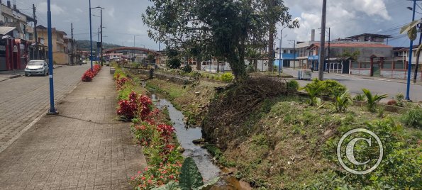 Creek running through a neighborhood (2)