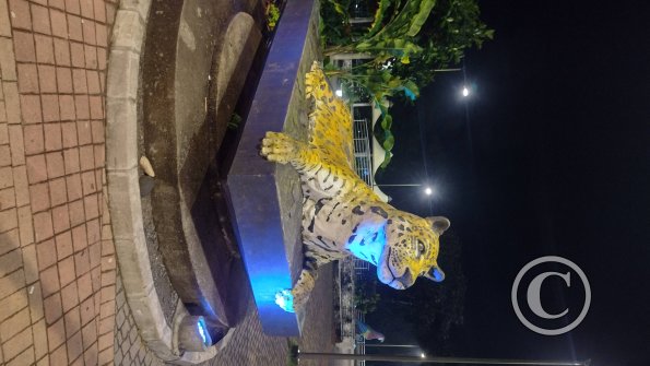 Malecon (4)