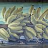 Mural on Av Alberto Zambrano at 9 de Octubre (11)