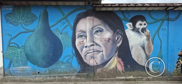 Mural on Av Alberto Zambrano at 9 de Octubre (6)