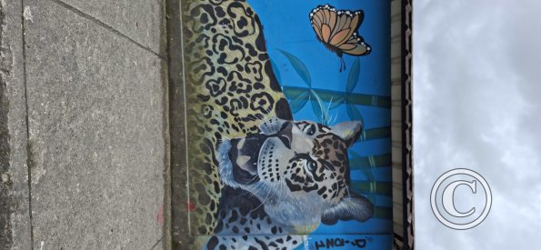 Mural on Av Alberto Zambrano at 9 de Octubre (7)