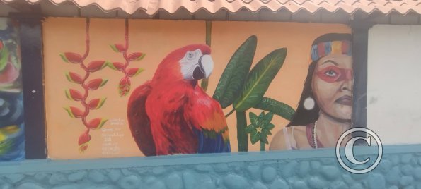 Mural on Av Francisco de Orellana near C. Bolivar