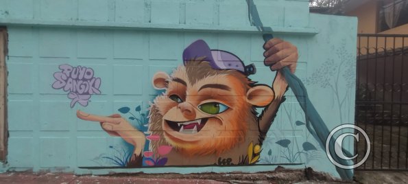 Mural on Ruta Panamericana near Citayacu (3)