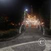 Parque Central Christmas LIghts (2)