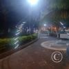 Parque Central Christmas LIghts (3)