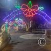Parque Central Christmas LIghts