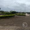 Parque Juan Montalvo on Mercedes Lopez near Av Tarqui (2)
