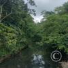 Puyo River (3)