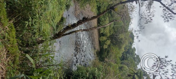 Puyo River (5)