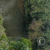 Puyo River (7)