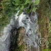 Puyo River (9)