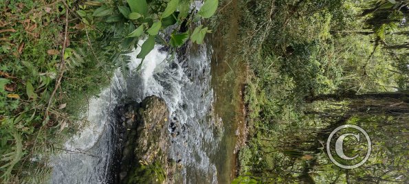 Puyo River (9)
