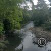 Puyo River
