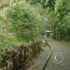 Riverside trail