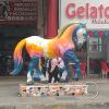 IMG_20221224_161744529