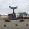 IMG_20221219_174256296