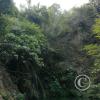 IMG_20221218_091820362