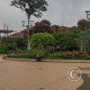 Parque Central at Domingo Comin and Pastor Bernal (8)