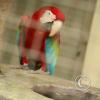 img_1102_17907459632_o