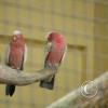 img_1103_17287952474_o