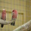 img_1104_17724295469_o