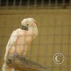 img_1106_17911135661_o