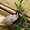 img_1117_17884391246_o