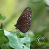 img_1278_17915504241_o