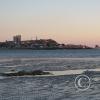 img_2476_17076089203_o