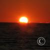 img_2481_17895810055_o
