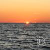 img_2489_17693974242_o