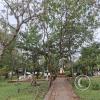 Plaza Héroes Del Chaco (5)