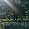 IMG_20230429_143749591_HDR