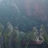 IMG_20230626_155929174
