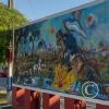 IMG_20230624_151719202_HDR
