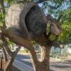 IMG_20230624_151801280_HDR