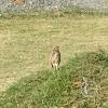 IMG_20230628_133225723
