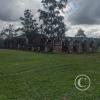 IMG_20230617_110724126_HDR