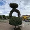 topiary in n the riverside park