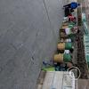 Coca leaves for sale