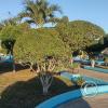 Plaza del Tercer Piso at Jiron Bellavista, Jiron Loreto, Jiron Junin (5)