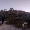 IMG_20250731_171020157_HDR