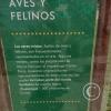 Paseo Yortuque-Av. Chinchaysuyo (4)