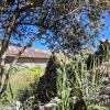 Remnants of a stone house (3)
