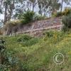 Along a trail UP to Christo Blanco statue and viewpoint