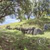Saqsaywaman (44)