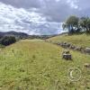 Saqsaywaman (45)