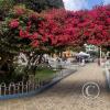 IMG_20250803_140141503_HDR